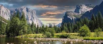 Live Auction: Yosemite Weekend Home