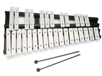 Donation to purchase Xylophones