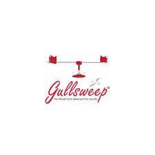 Calling All Sailors: Get This Gull Sweep