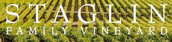Staglin Family Vineyard 2019 SALUS Cabernet Sauvignon Magnum