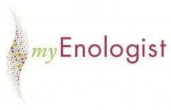 myEnologist Picnic for 4 with 4-wines crafted by Lei...