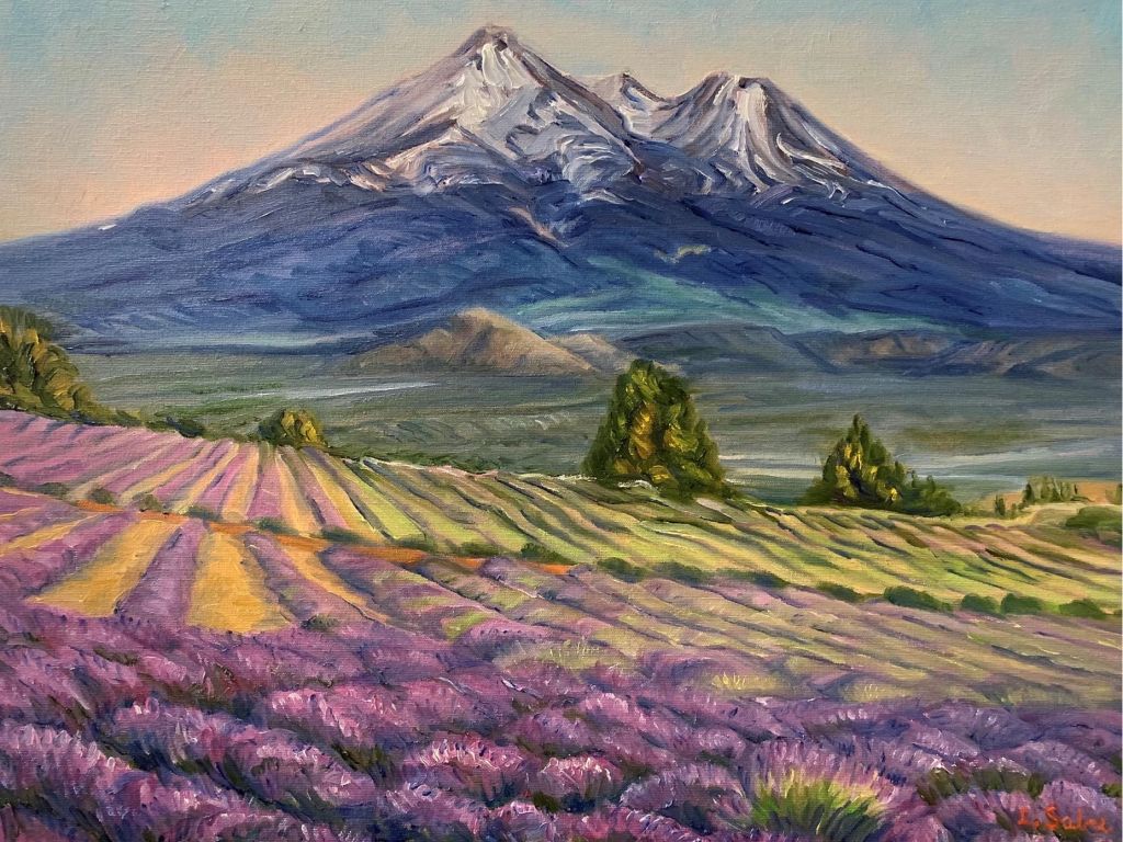 Mount Shasta Lavender