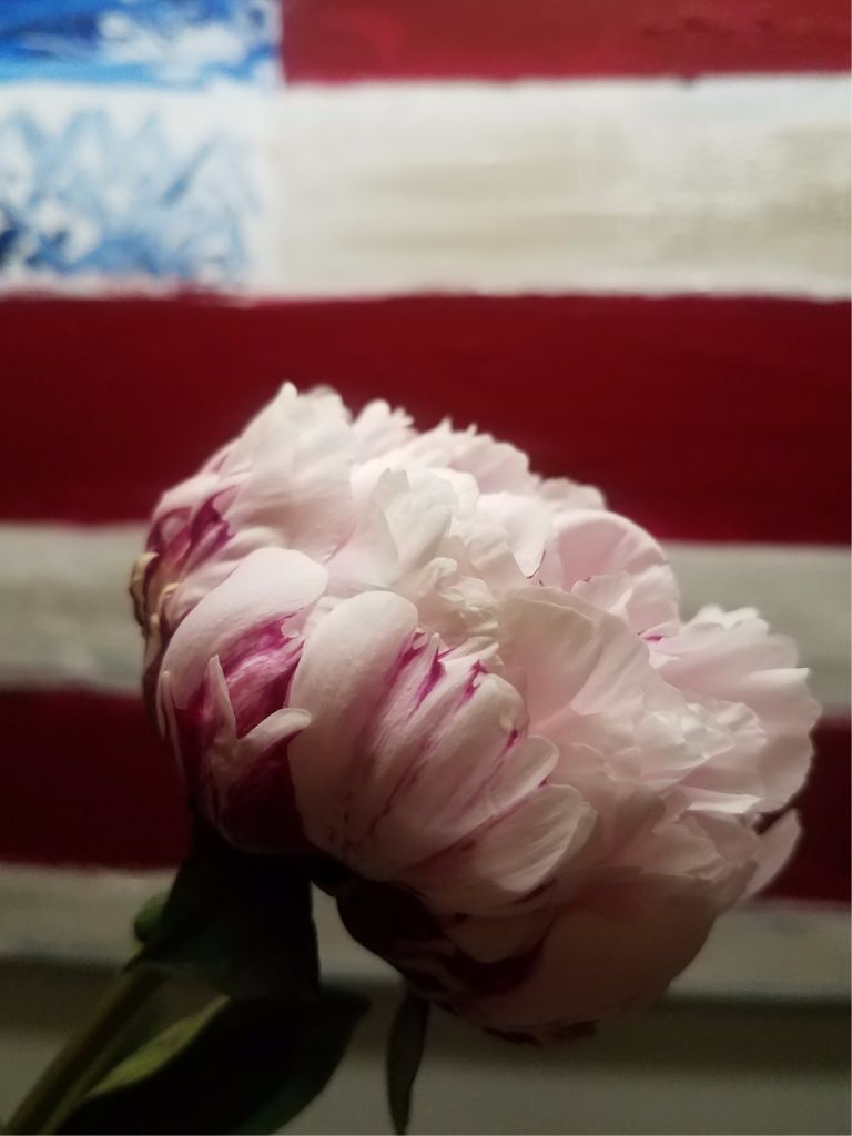 Untied Peony