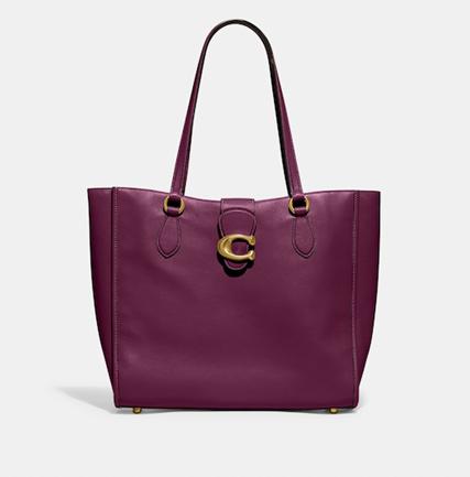 Coach Leather Theo Tote