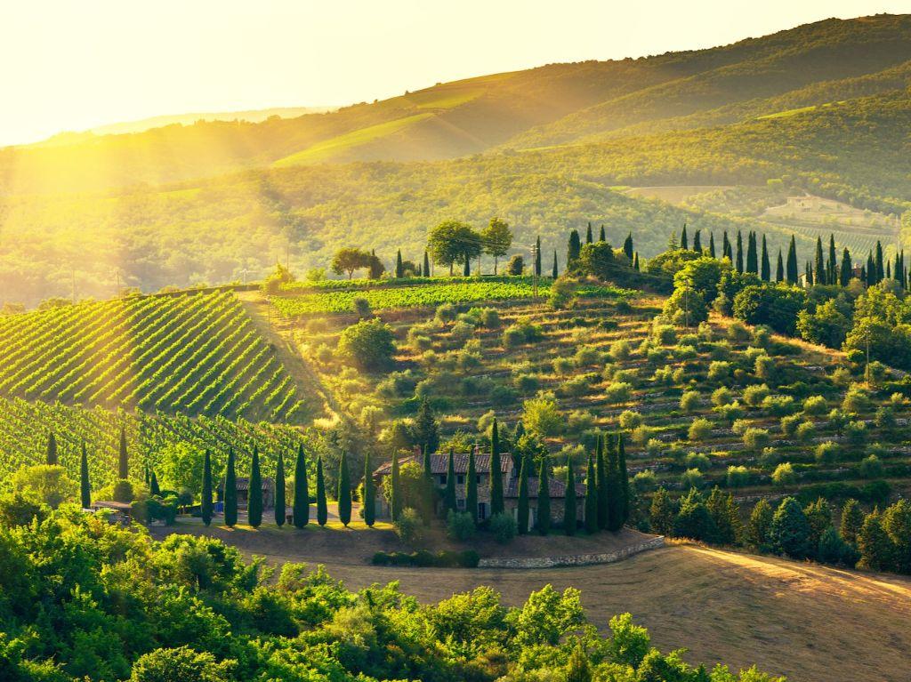 Taste of Tuscany Vacation for Up to 4 People