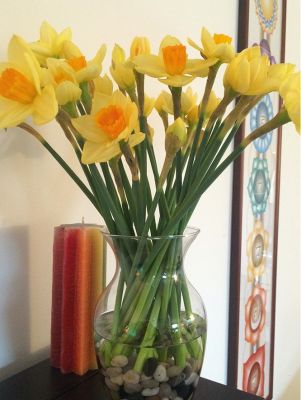 90-minute Energy Healing & Balancing Session with PEMF Therapy