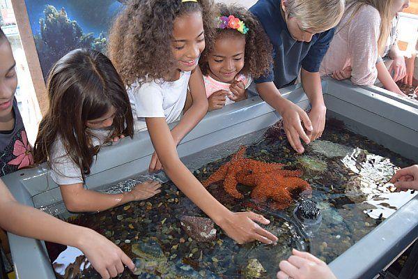 Family Getaway at the Aquarium of the Pacific