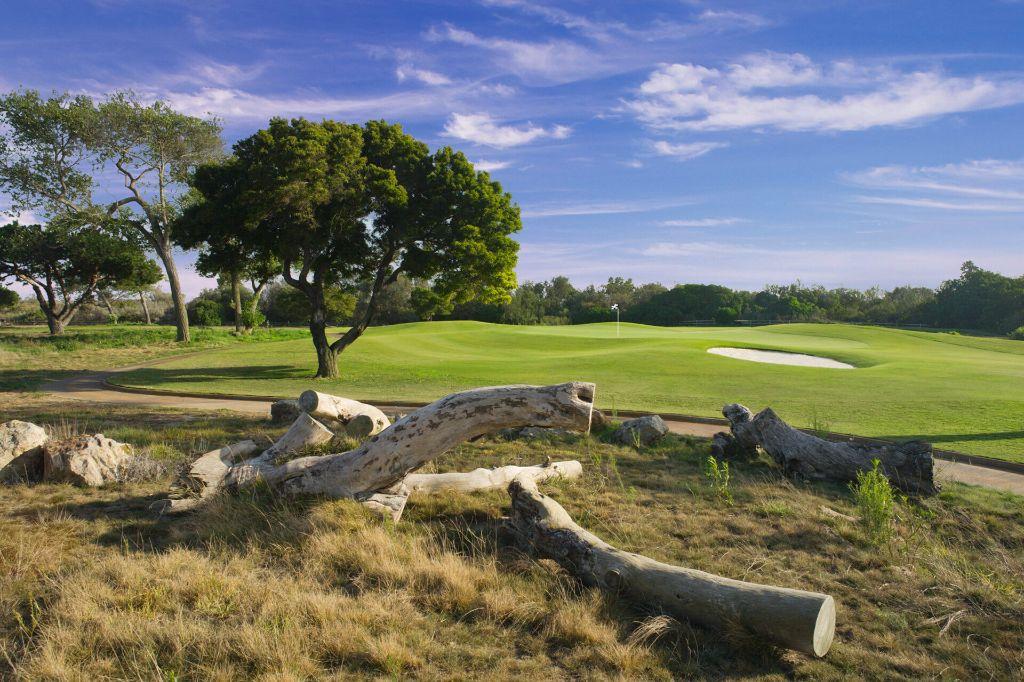Foursome at Olivas Links Golf & Eat at Brophy Br...