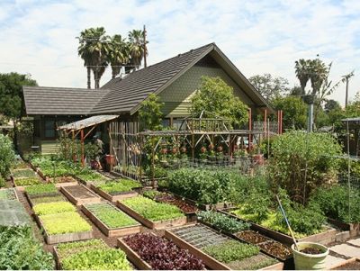Garden Soiree: An Enchanted Evening