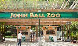 Zoo Experience for 4