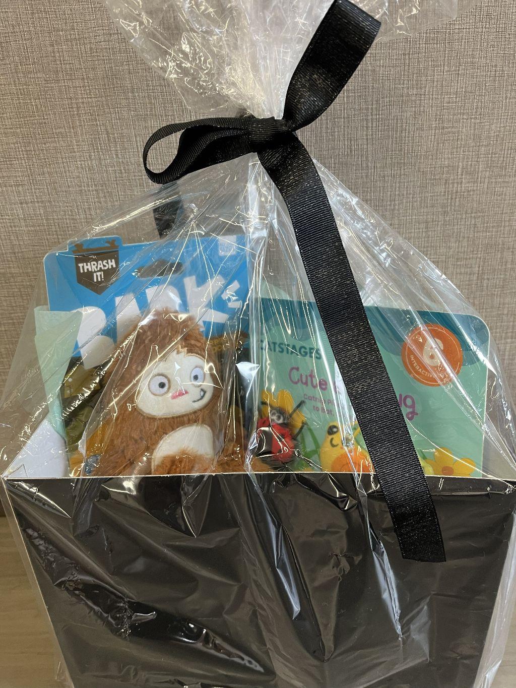 Cute as a Bug Dog Toy Bundle