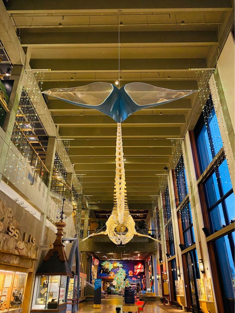 Grand Rapids Public Museum - Admission for Two + (2)...