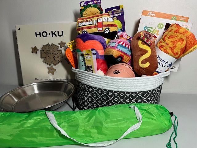 Think Summer Dog Basket