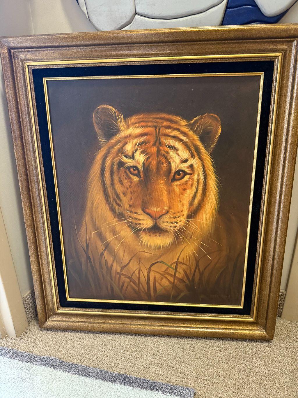 Peter Shinn Tiger Framed Oil Painting