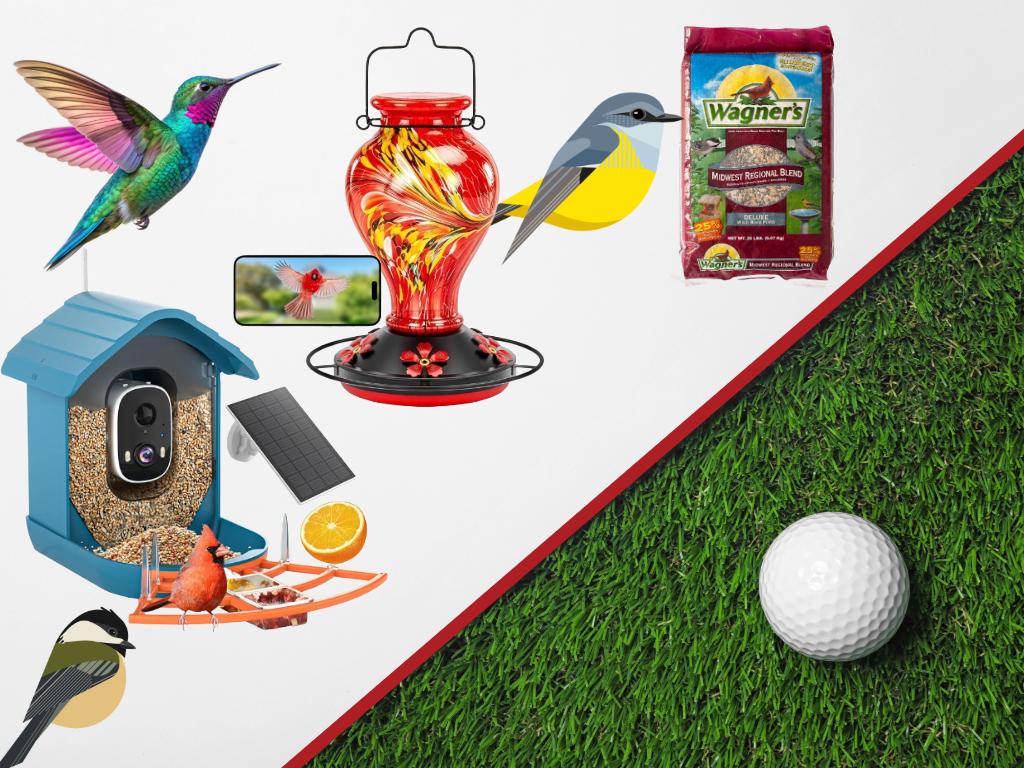 BIRD FEEDER WITH CAMERA + HAND BLOWN GLASS HUMMINGBI...