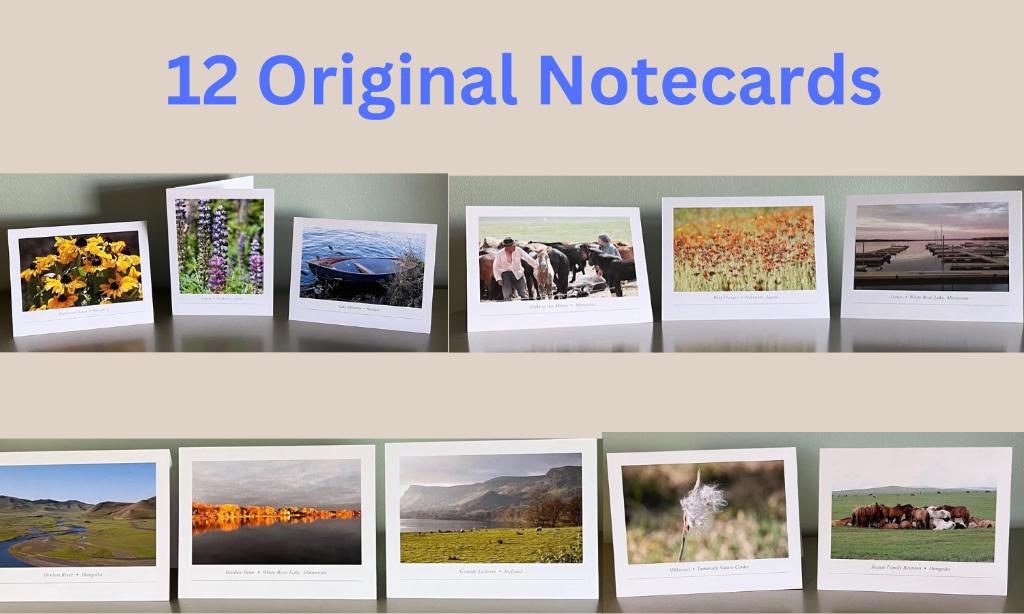 12 Original Note Cards