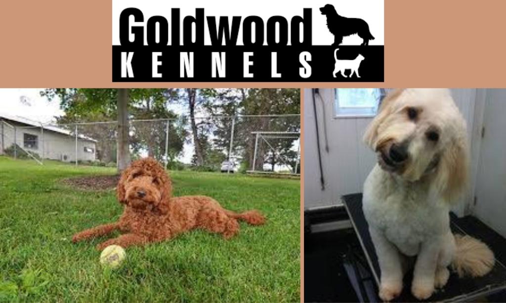 Goldwood Kennels $100 Gift Card and More