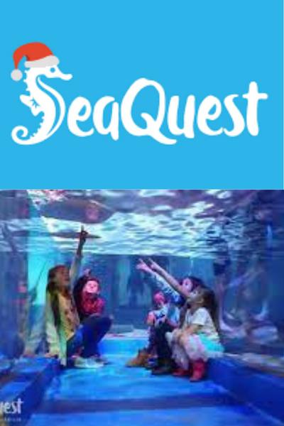 Amazing Adventures at SeaQuest in Roseville $440