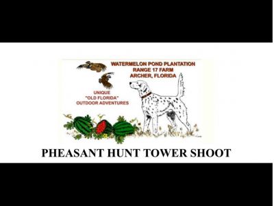 Phesant Hunt on the Beautiful Watermelon Pond Plantaion