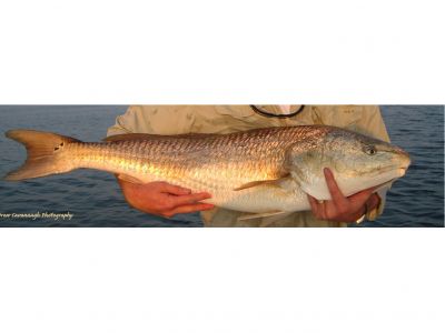 Amazing Fishing Trip with JR Walker on the Aucilla River