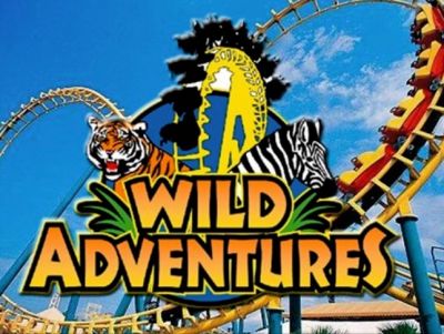 FOUR Single Day Passes to Wild Adventures