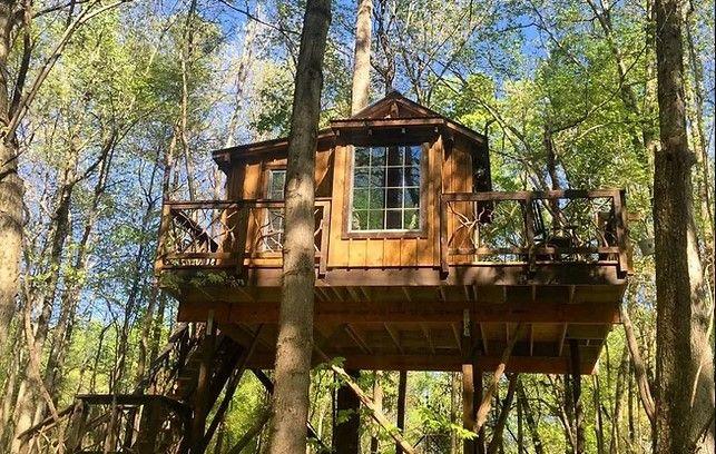 2-Night Stay at the ''Miss Molly'' Treehouse-Cherry ...