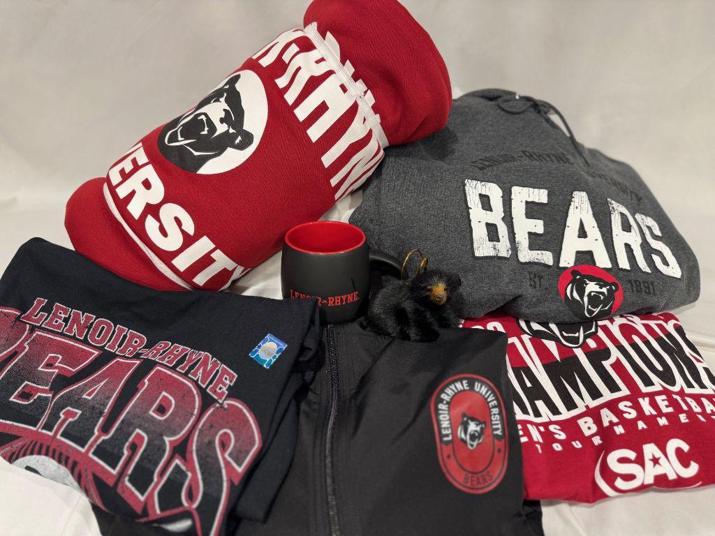 LR Bookstore Swag Package