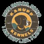 1 Day of Free Dog Daycare at Kanupp Kennels