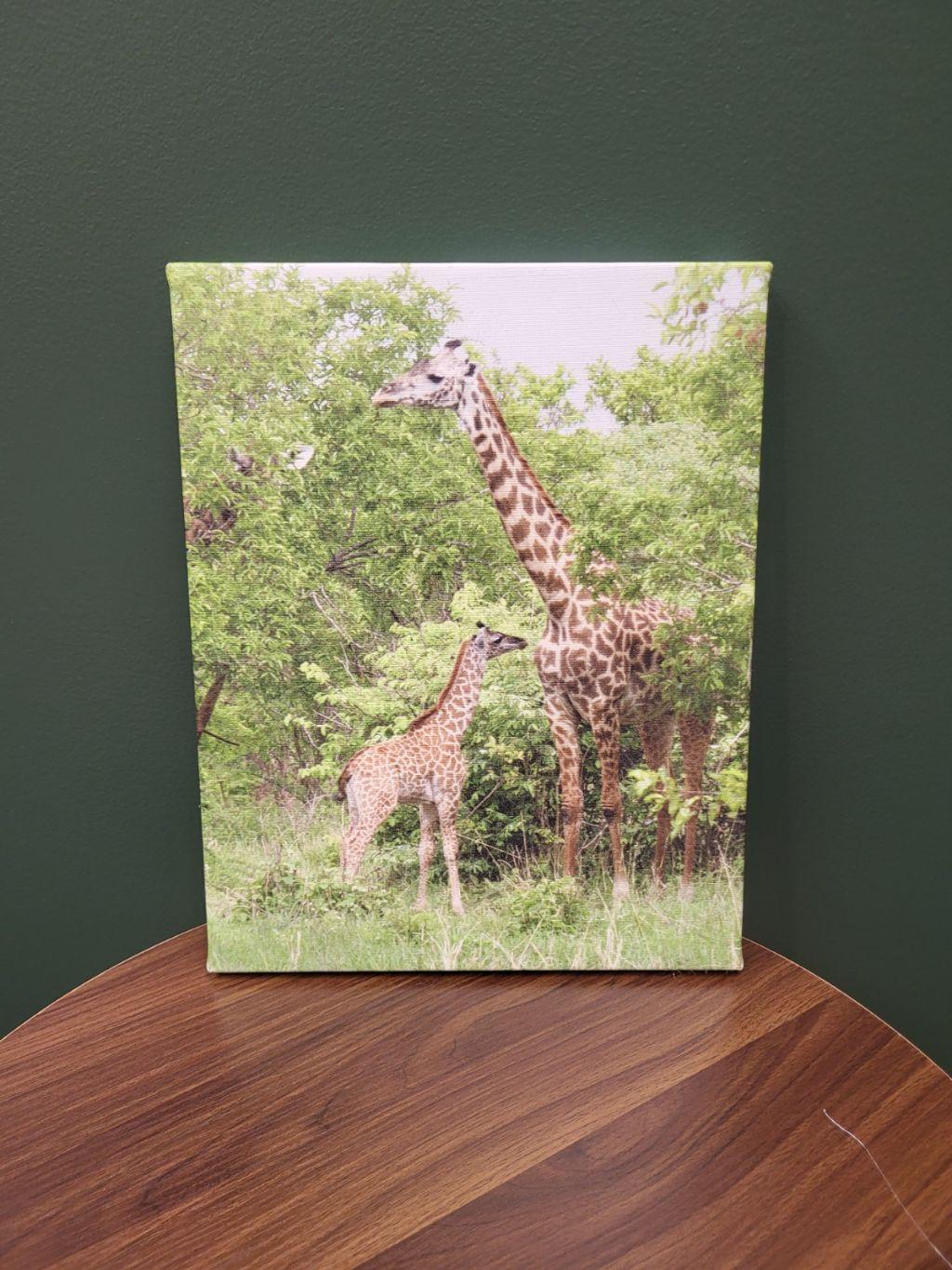 Sip & Safari: Giraffe Photo, Rioja Wine & Glasses
