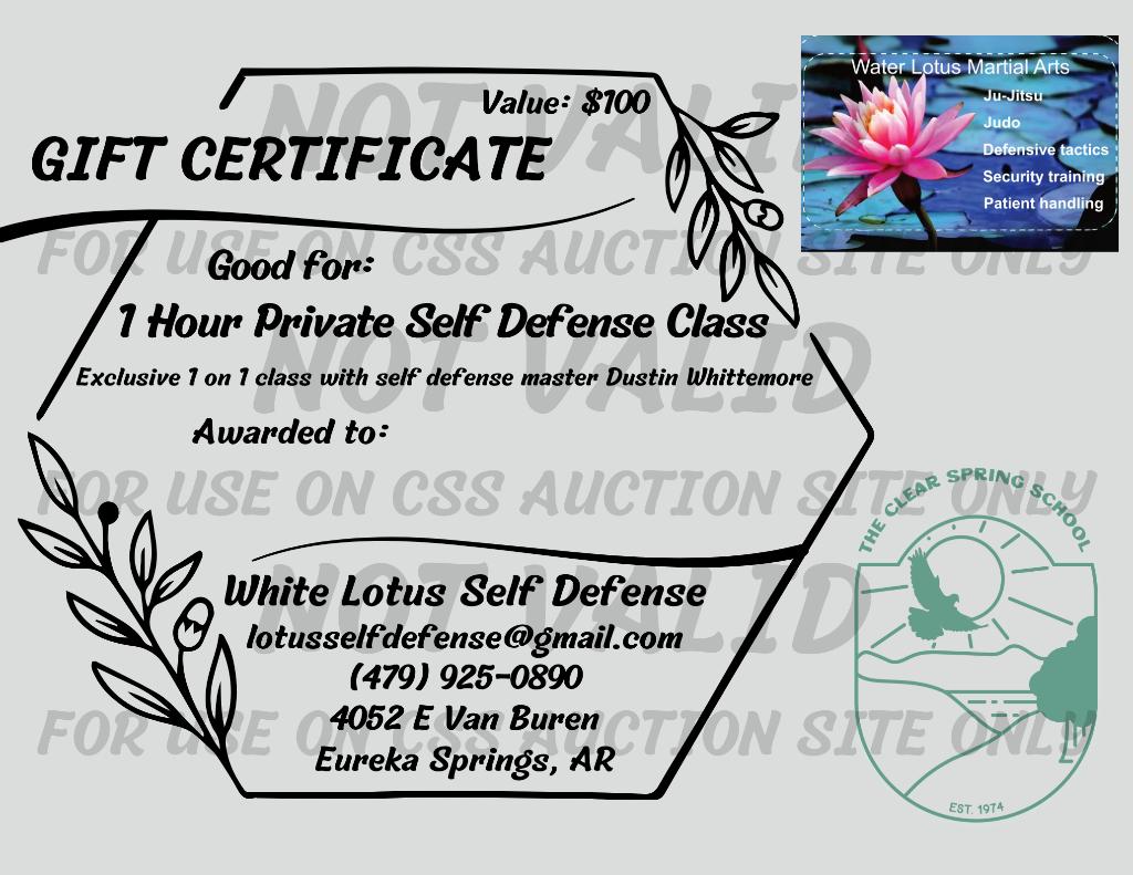 1 Hour Private Self Defense Class