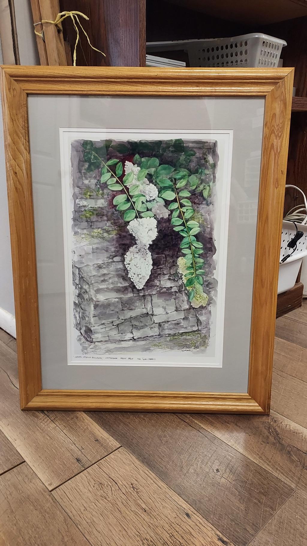 Crepe Myrtle Blossoms by Dan Morris