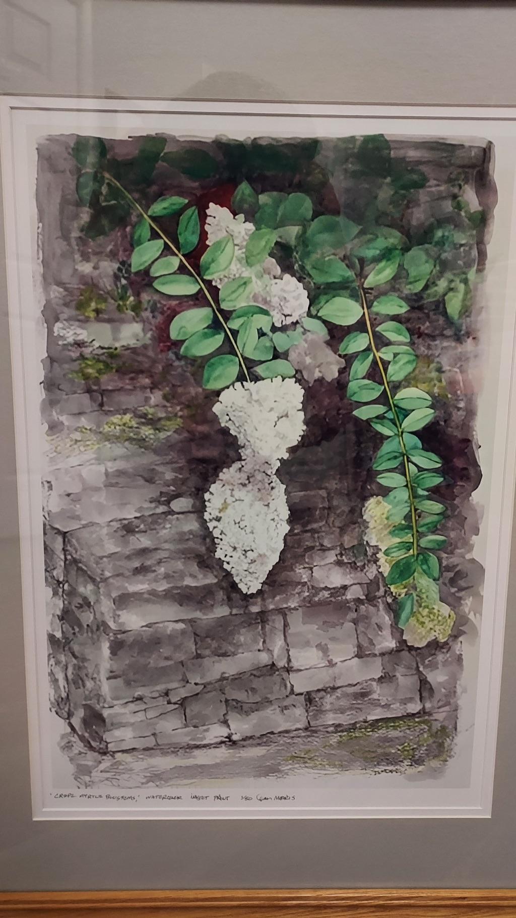 Crepe Myrtle Blossoms by Dan Morris
