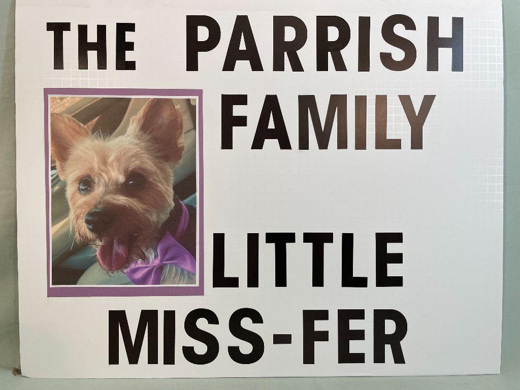 Little Miss-Fer