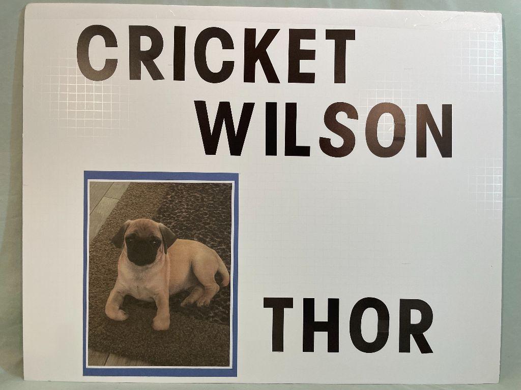 Thor