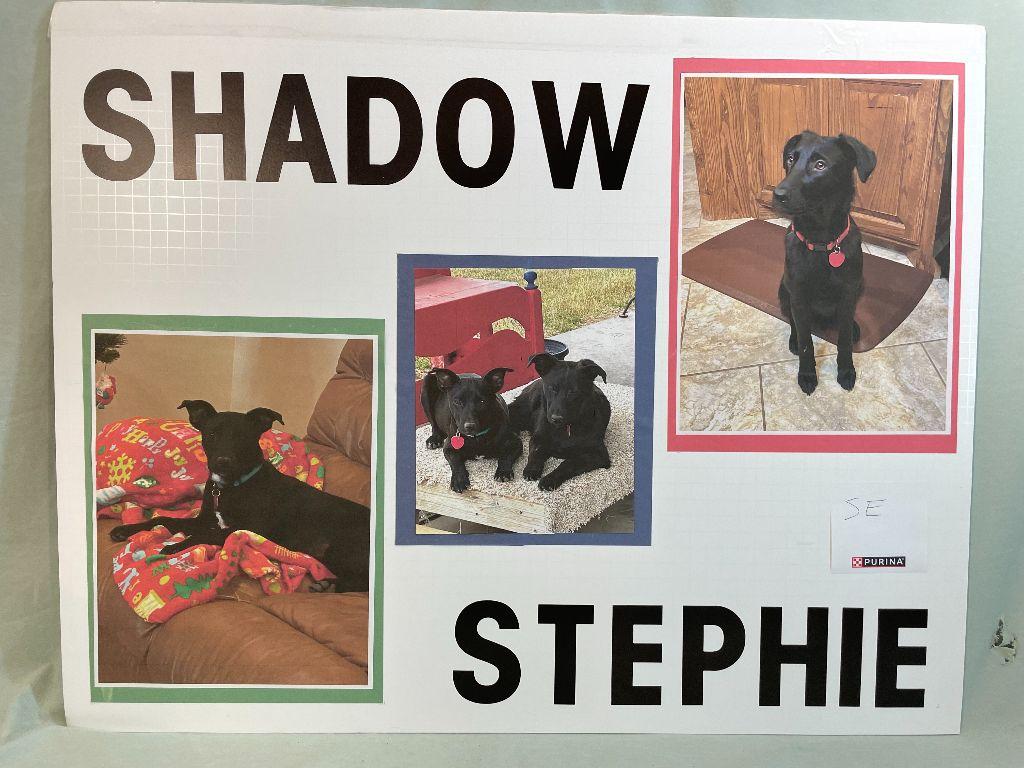 Shadow and Stephie