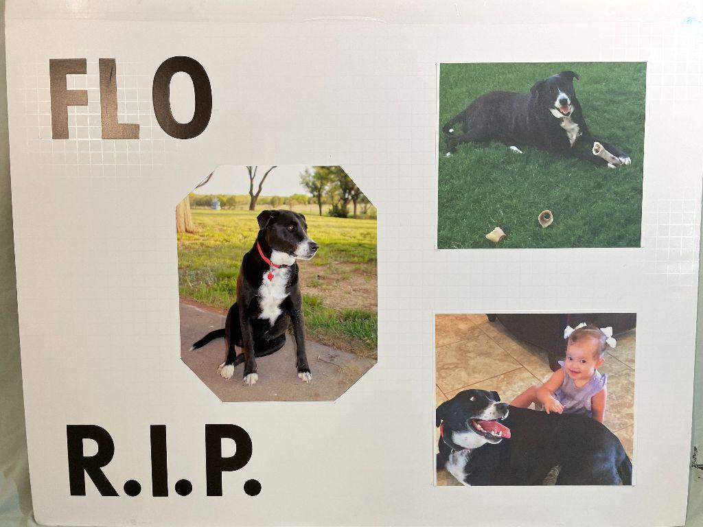 Flo R.I.P.