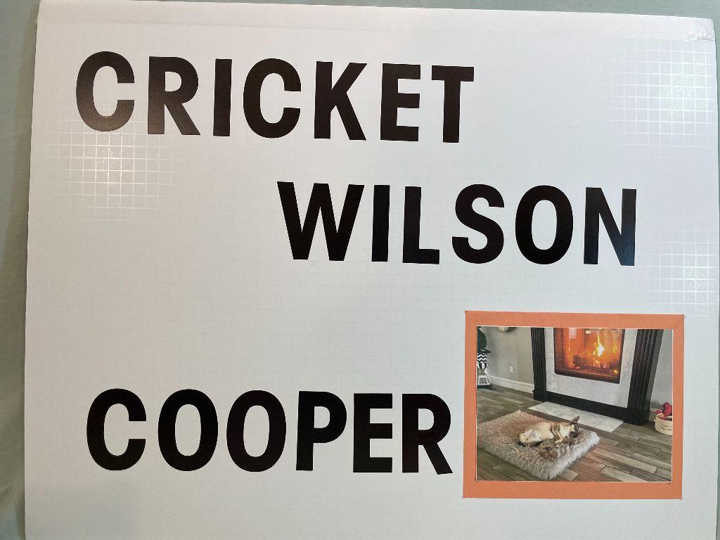Cooper