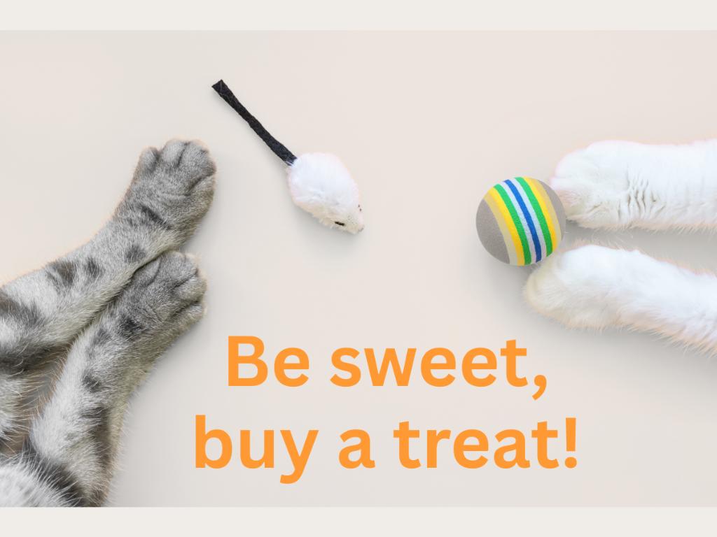Sponsor a Cat Toy for a Grand Companion
