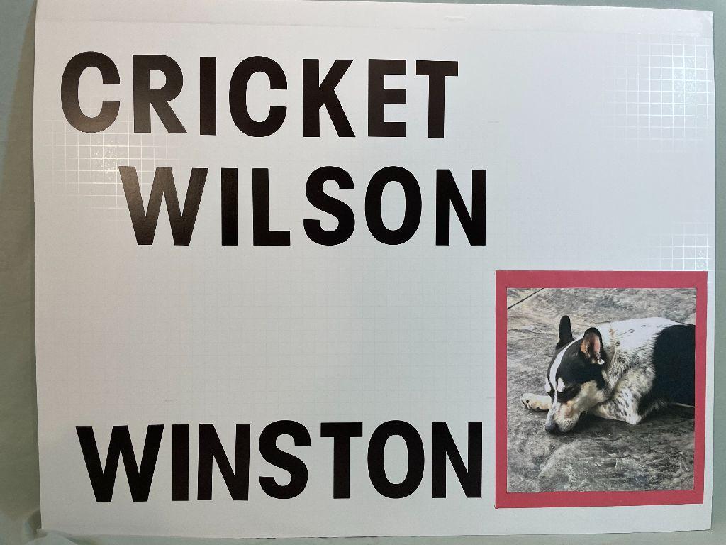 Winston