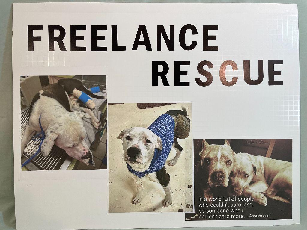 Freelance Rescue
