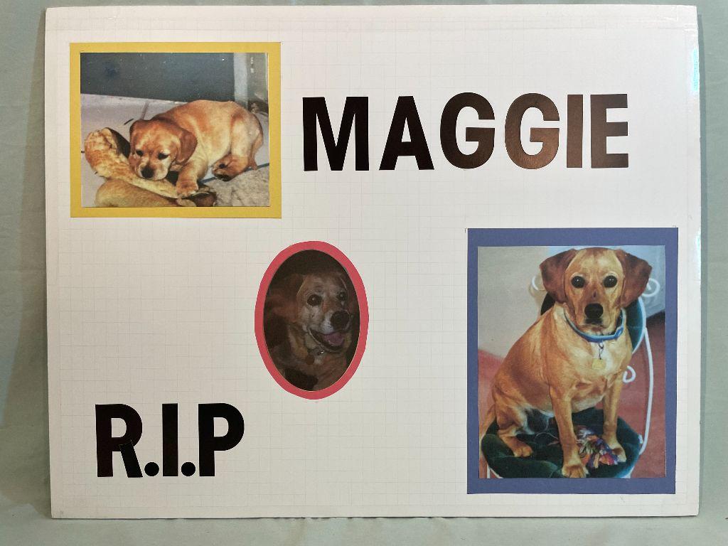 Maggie