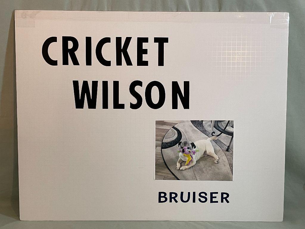Bruiser