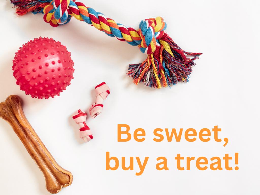 Sponsor a Toy for a Grand Companion