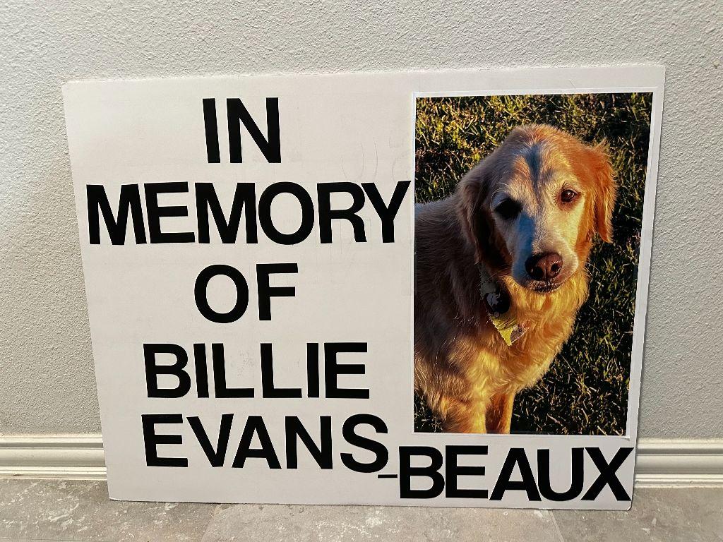 Beaux - in memory of Billie Evans