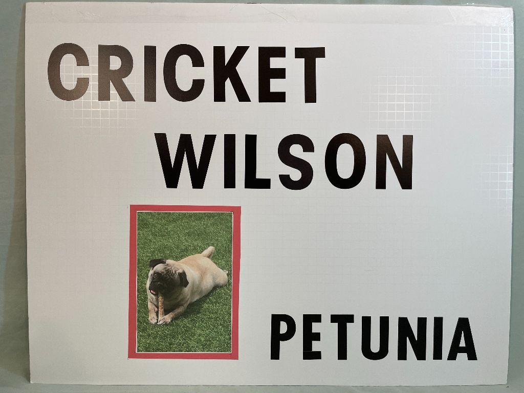 Cricket Wilson - Petunia