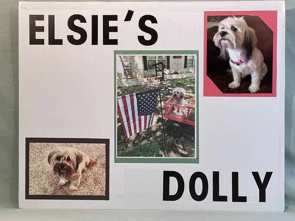 Elsie's Dolly