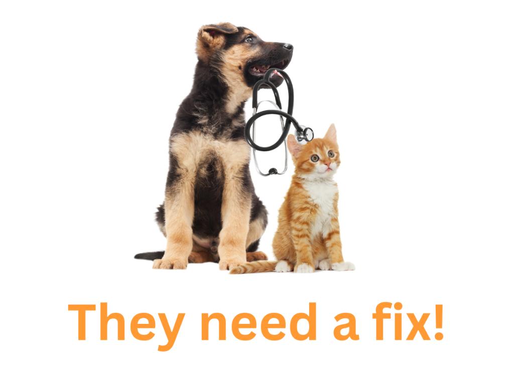 Fund the Cost of a Pet's Spay/Neuter