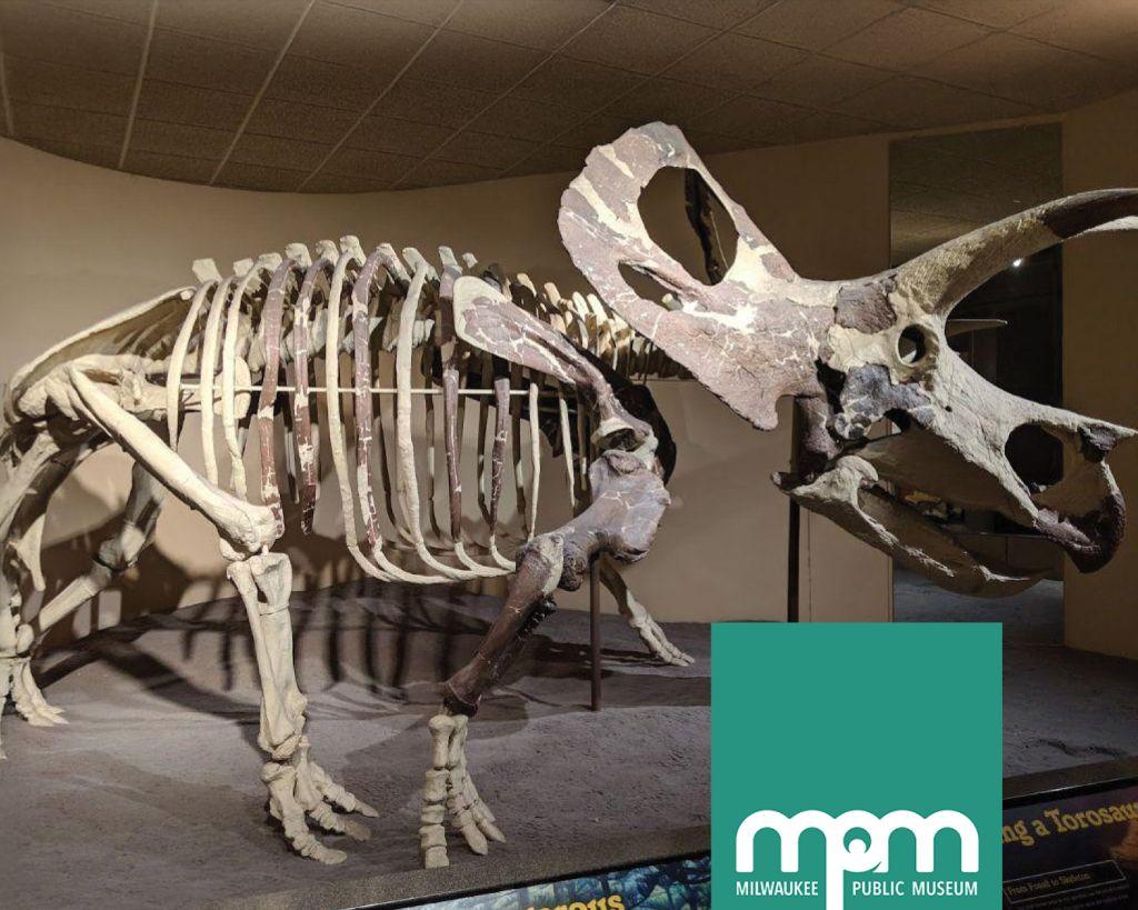 Night at the Museum- Milwaukee Public Museum