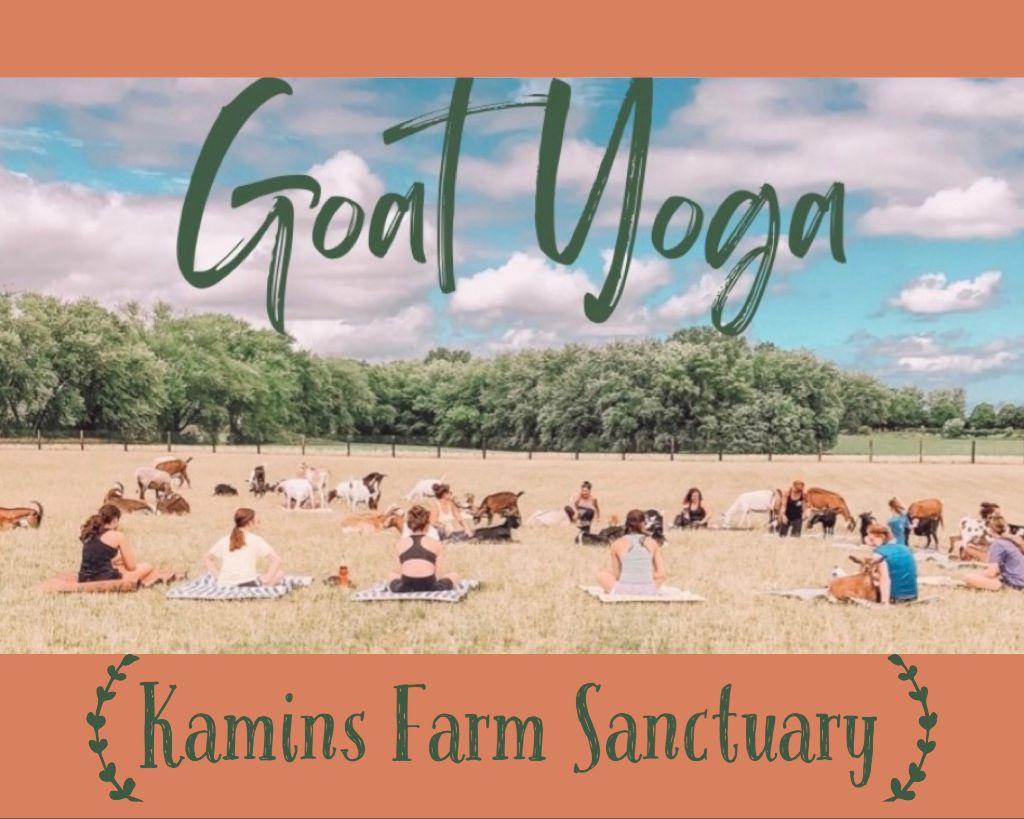 Goat Yoga Party for 20 at Kamins Farm