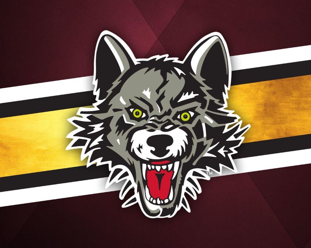 2 Tickets for the Chicago Wolves 24-25 upcoming season